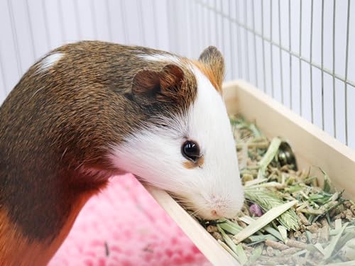 Guinea Pig Feeder Box, Wooden Small Animal Food Feeder, Hanging Rabbit Food Bowl, Small Animal Cage Accessories, Suitable for Rabbit Bunny Chinchilla Guinea Pig Hamster 11.8 × 4.3 × 2.4 Inches