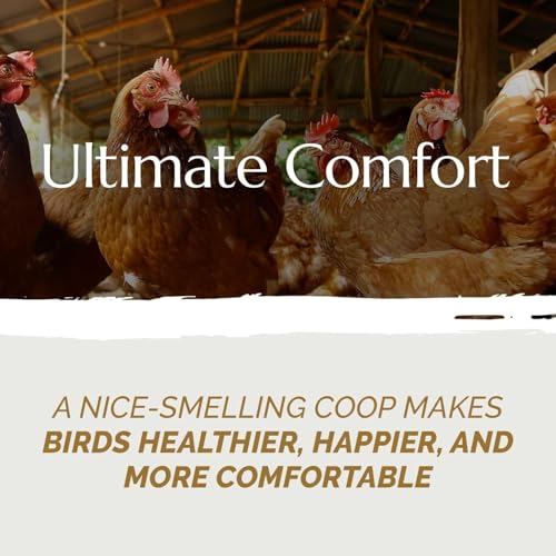 AubiChick High Grade French Hemp Bedding, 44lb (400L) Jumbo Bulk Bag for Chickens, Designed for Chicken Coop Bedding and Comfort of Birds, Poultry, Hairless Pets,(Pack of 2)