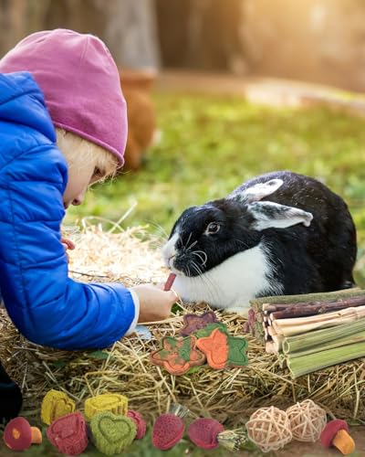 ERKOON 53 Bunny Chew Toys for Rabbits Teeth, Natural Rabbit Toys Apple Wood Sticks, Carrot, Timothy Grass for Small Pets, Hamster, Chinchilla, Guinea Pig Dental Care and Treat Teething(53) - size: 53