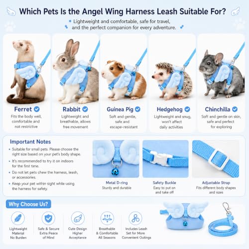 Ferret Harness and Leash Set for Adult Ferrets, Cute Angel Wing Small Animal Vest Harness, Adjustable for Ferrets Kittens Mini Dogs Blue1536-2 - color: Sky Blue