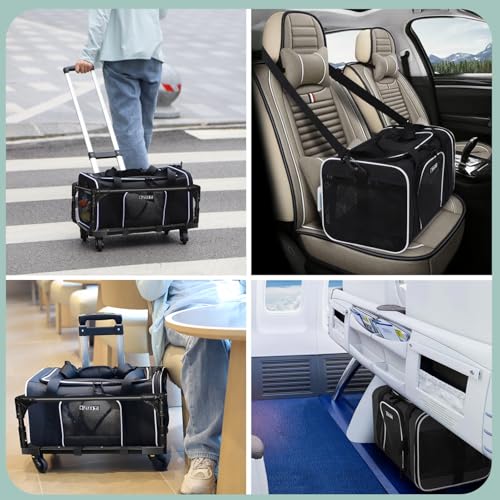 Small Pet Carrier 18"x11"x11" with Wheels Airline Approved, Black | for Delta/American/United Airlines, Lockable Safety Zippers and Anti-Scratch Mesh, Pets Under 10 lbs - color: Black and Wheeled, size: 18.0"L x 11.0"W x 11.0"H