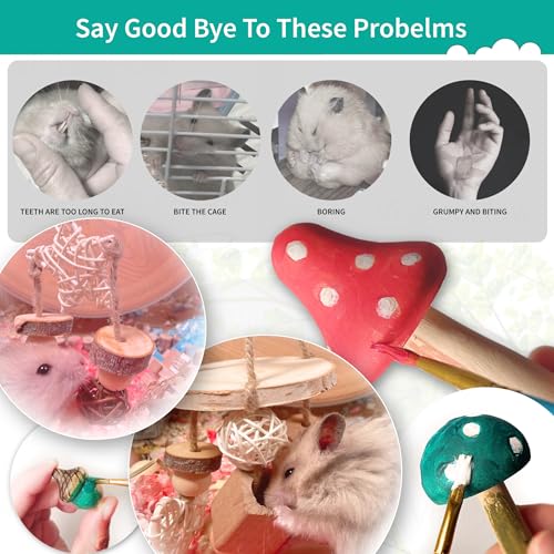 13 PCs Hamster Toys for Hamster, Gerbils, Mice, Rats, and Other Small Animals - Natural Molar Chew & Play Toys to Induce Teeth Grinding, Reduce Boredom and Depression - style: Style-C