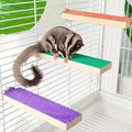 Sugar Glider Toys Cage Steps - Small Animal Climbing Steps Sharpening Claws Sugar Glider Enrichment Toys Scratching Snadpaper for Cages (Orange+ Purple + Green) - color: Orange+ Purple + Green