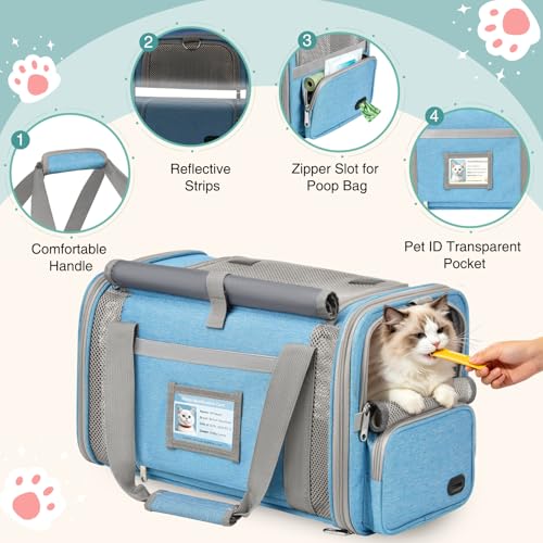 Cat Carrier Top Load, Privacy Curtains Soft Pet Travel Bag Airline Approved | Collapsible Soft-Sided Cat/Dog/Pet Carrier for Small Cats Dogs Puppy Under 16 lb, Washable Kitten Mesh Cage (16.9x10.8x10.8) - color: Sky Blue