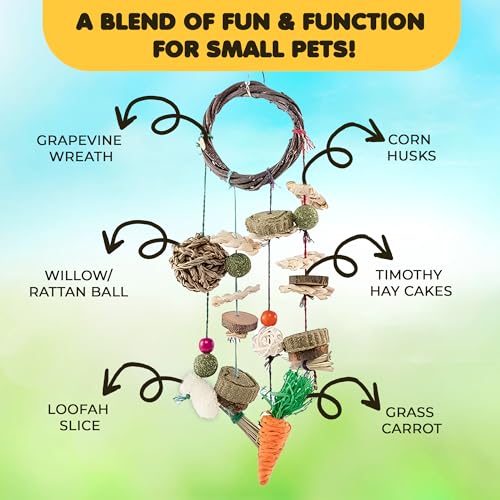 SunGrow Cage Hanging Rabbit Chew Toy, Handwoven Space-Saving Enclosure Accessory, Wooden Discs, Loofah Slices, Grass Ball & Compressed Hay, for Bunnies, Guinea Pigs, and Chinchillas, 17” x 7”, 1 Set