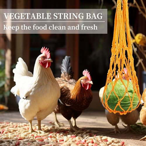 14PCS Chicken Toys for Coop Accessories, Swing Bridge Ladder Mirror Xylophone Toys with Bells Hanging String Vegetable Fruits Skewer Hanging Feeder Chicken Chewing Toy for Hens Chick Bird Parrot
