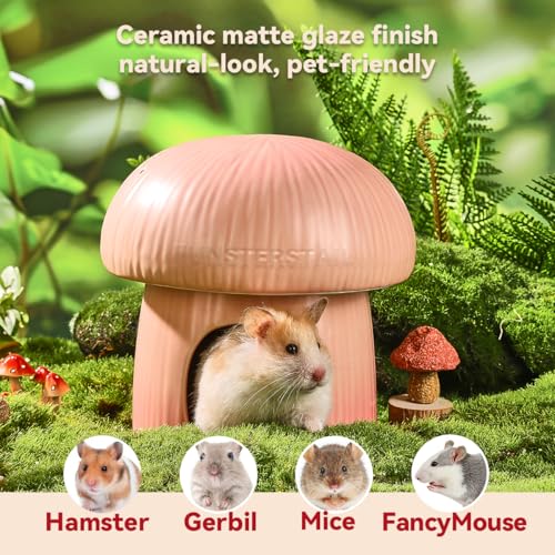Ceramic Hamster Habitat Hideout