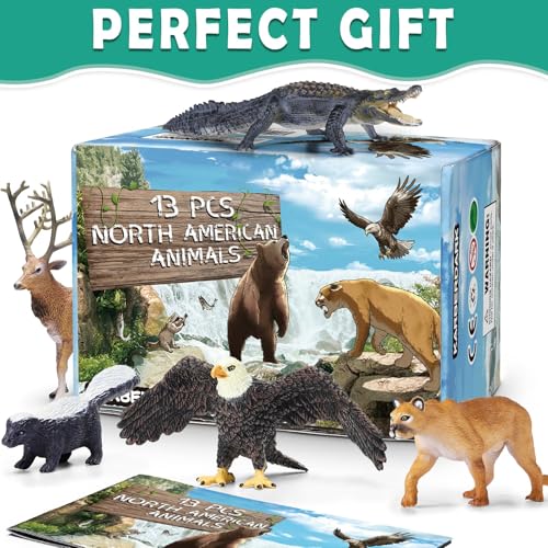 13 Pcs North American Forest Animal Figure Set with Educational Booklet | Realistic Plastic Animals Toy for Kids, Jungle Theme Party Favor, Cake Topper, Birthday Gift for Toddler Boy Girl