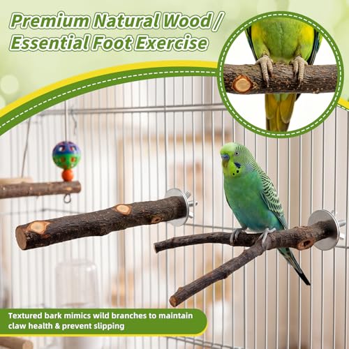 8 PCS Bird Toys & Perches Set - Natural Apple Wood & Hardwood Branches, Birch Ladder Swing, Foraging Shredding Chewing Toys for Parakeets, Cockatiels, Small Medium Bird Cage Accessories - size: Bird Toys & Perches Set