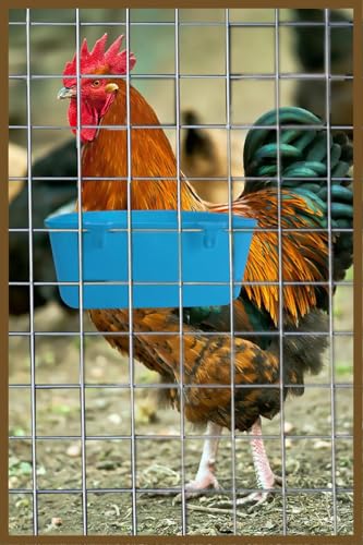10 Pcs 25 fl.oz Pet Feeder Bowls Water Cups Hanging Feeders Waterers Food Dish Treats Container pellets grit Dispenser for Chicken Bird Rabbit Parakeet Cat Puppy Guinea Pig Small Animal - size: Blue 25 OZ Pack of 10
