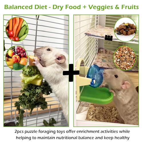 Jevnd 3-in-1 Rat Enrichment Bundle - Wooden Climbing Ladder & Foraging Toy Set - Includes 1 Natural Chew Ladder and 2 Stainless Steel Puzzle Feeders for Rats, Mice & Small Birds