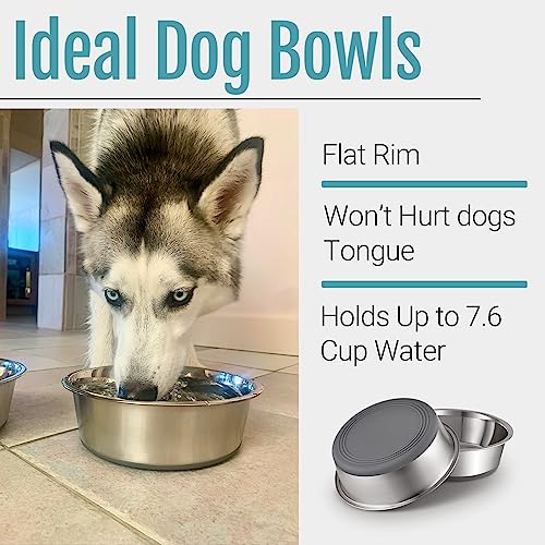 Nonslip Stainless Steel Dog Bowls, 7.6 US Cup, 2 Count | No slide silicone bottom, Dishwasher safe, Easy to clean, Stackable design - size: 7.6 Cup