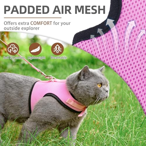 PUPTECK Soft Mesh Cat Vest Harness and Leash Set Puppy Padded Pet Harnesses Escape Proof for Cats Small Dogs (Small, Pink) - color: Pink, size: S(NECK 6", CHEST 8.5", 2-4 lbs)