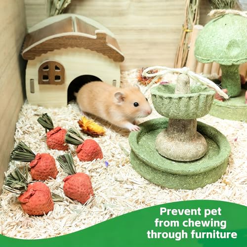 Hamiledyi Guinea Pig Chew Toys Rabbit Chew Toys for Teeth Natural Hamster Treats Prevent Teeth Overgrowth for Syrian Hamsters Gerbils Rat Bunny Chinchilla Small Animals - style: Style A