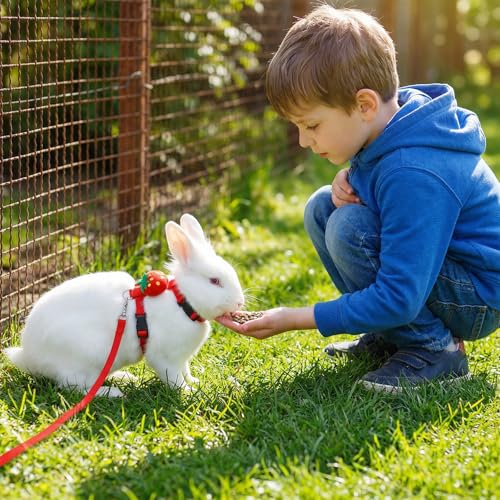 3PCS Adjustable Bunny Rabbit Harness and Leash Set, Small Pet Cute Vest Harness Leash with Decoration, Guinea Pig Harnesses for Ferret, Kitten, Puppy, Rat, Squirrel (Strawberry, Carrot, Pineapple)