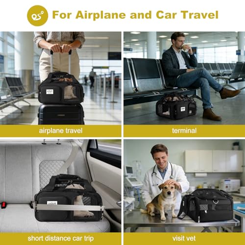 pidipiti 17x13x8 Soft-Sided pet Carrier,for 1 Extra-Small Dog/Small cat | top expandable,breeze airlines approved - size: 17"L x 13"W x 8"H