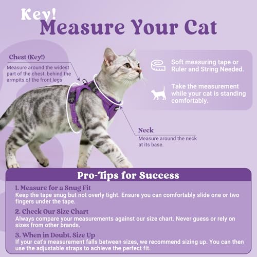 rabbitgoo Cat Harness and Leash, Easy-on with Neck Buckle, Purple | Escape Proof, No Over-the-head, Soft Air Mesh, 3 Lockable Adjusters & Buckles, Reflective, for Kittens & Small Cats Walks, Xs - color: Purple, size: Xs