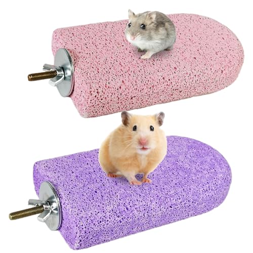 2 Pack Hamster Rat Lava Ledge Platform Teeth Grinding Chewing Toy (L)