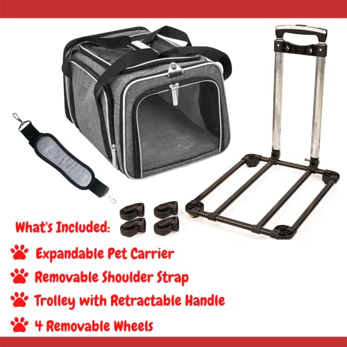 Airline Approved Expandable Premium Pet Carrier on Wheels- Two Sided Expandable Rolling Carrier- Designed for Dogs & Cats- Extra Spacious Soft Lined Carrier! (Grey) - color: GREY