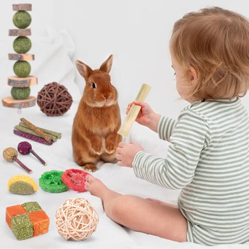 Bunny Toys for Rabbits Hamster/Guinea Pig Toys Natural Timothy Hay Sticks | Timothy Hay Sticks chew Treats and Balls Toys for Rabbit, Bunny, chinehila, Guirea Pig, Hamster, Rabbit Teeth Care - size: 24Pack-Set