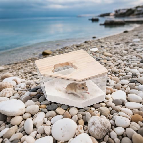 Hamster Sand Bath Box–Transparent Syrian Hamster Shower Bathtub with Comb for Small Pets, Acrylic Micro Sand Bath Box with Lid, Ideal Hamster Dig Box - Pentagon - color: (Pentagon)