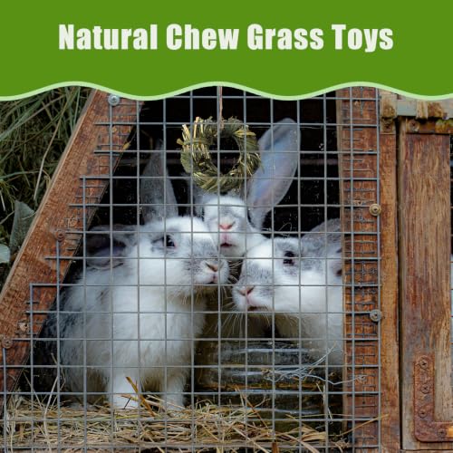 6PCS Timothy Hay Toy for Rabbits Bunny Chew Toys for Teeth Timothy Hay Rings for Small Animals Guinea Pigs Chinchillas Hamsters Bunnies Digestion Care