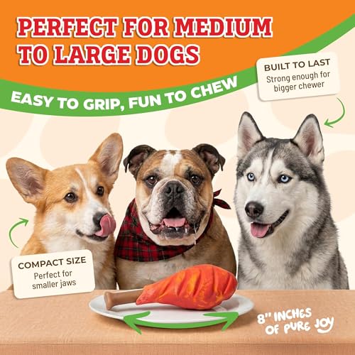 Baba Buddies 5-in-1 Turkey Leg Dog Chew Toy for Aggressive Chewers | Natural rubber & tough nylon hybrid, dental cleaning ridges, real turkey flavor. For Labrador, German Shepherd, Pit Bull