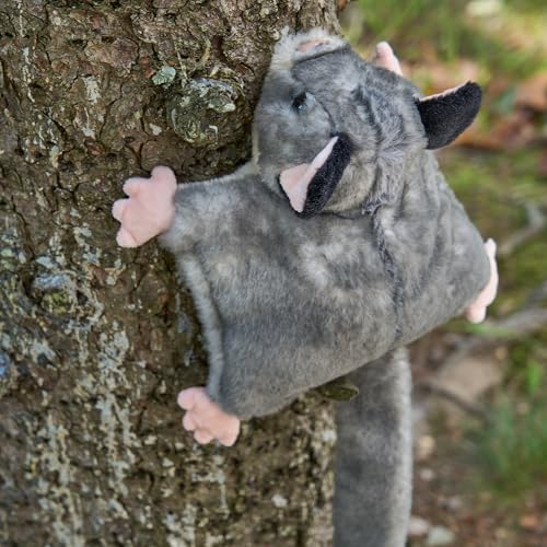 The Petting Zoo Sugar Glider Stuffed Animal Plushie, Gifts for Kids, Wild Onez Wildlife Animals, Sugar Glider Plush Toy 9 inches