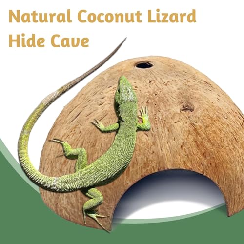 PINVNBY 2 PCS Natural Coconut Reptile Hideouts Lizard Coco Hut Hermit Crab Hut Aquarium Fish Hide Cave Spider Snail Climber Toys - size: 2 PCS Smooth Surface