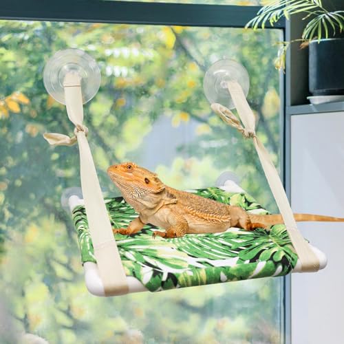 Bearded Dragon Window Perch, Lizard Window Hammock, Reptile Bed, Lizard Window Hammock, Reptile Tank Accessories, Suitable for Lizard Bearded Dragon Chameleon Kitten Guinea Pig Rat 12 × 11 Inches