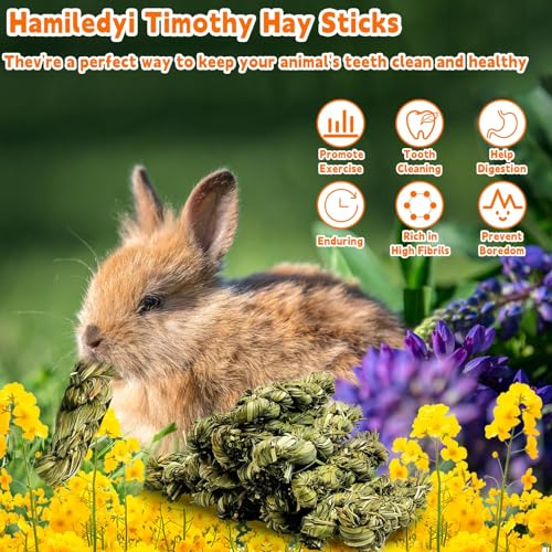 Hamiledyi 15 PCS Rabbit Chew Toys for Teeth - Timothy Hay Treats and Sticks - Natural Grass Chew Toys for Bunnies Guinea Pigs Hamsters and Chinchillas - Bunny Teeth Care - size: 0.16 Ounce (Pack of 15)