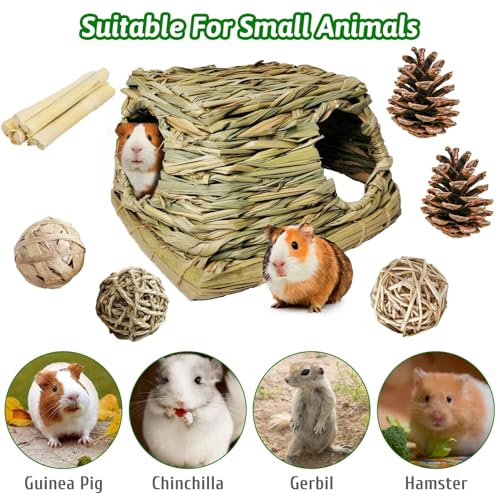PINVNBY Guinea Pig Grass House Bunny Hay Hideout Tunnel Small Pet Straw Hut with Chew Toys for Bunny Hamster Rat Chinchilla Hedgehog Gerbil (Ball at Random)