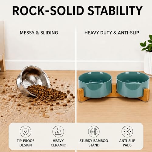 SPUNKYJUNKY Ceramic Dog and Cat Bowl Set with Wooden Stand, Modern Cute Weighted Food Water Set for Small Size Dogs (13.5OZ) & Medium Sized Dogs (28.7OZ) & Cats (3.6 Cups, 2 × Light Green) - color: Light Green × 2, size: 3.6 cups