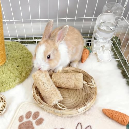 6Pcs Rabbit Chew Toys Loofah Guinea Pig Treats Bunny Enrichment Toys | Natural,with Rope,for Chinchillas Guinea Pig,Rabbit Toys for Bunnies Boredom,rabbit chew toys for teeth,bunny chew toys - size: 6PCS With a Rope