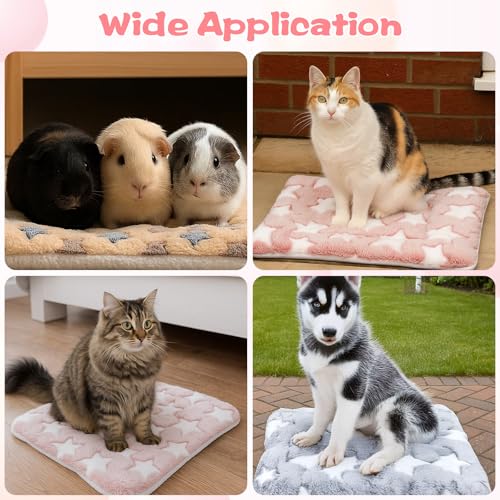 10 Pcs Guinea Pig Mats for Cage Washable, 13 x 10.6 Inch Guinea Pig Fleece Cage Liners, Soft Pet Bedding Pads for Small Animals Like Bunny Hamster Hedgehogs Indoor Use (5 Colors)