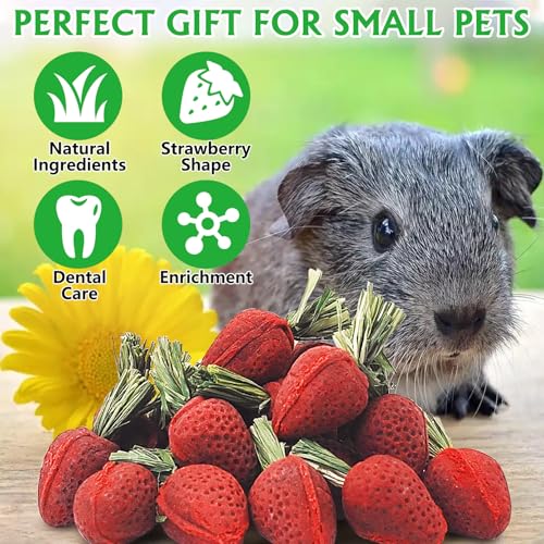Fhiny Rabbit Chew Toys, 24 PCS Natural Hamster Molar Snacks Handmade Small Animal Chew Toys for Teeth Timothy Hay Treats Habitat Decor for Bunny Guinea Pig Chinchilla Hamster Gerbil Dental Care - size: 24 PCS