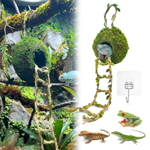 Moss Cave Hideout with Hanging Rope & Hemp Climbing Ladder – Natural Reptile Tank Decor Accessories for Crested Geckos, Chameleons, Tree Frogs, Leopard Geckos & Snakes. Terrarium & Vivarium Decor (4") - size: 4"