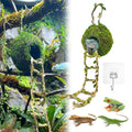 Moss Cave Hideout with Hanging Rope & Hemp Climbing Ladder – Natural Reptile Tank Decor Accessories for Crested Geckos, Chameleons, Tree Frogs, Leopard Geckos & Snakes. Terrarium & Vivarium Decor (4") - size: 4"