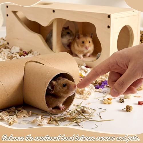 AceOrbit Hamster Tunnel Tubes and Wooden House Set, Composable DIY Hamster Tunnels and Hideout, Small Animal Tube for Mouse Gerbils Mice or Other Small Animals Habitat