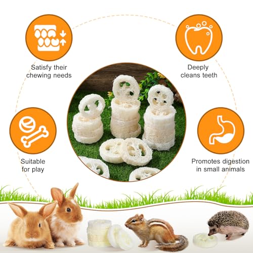 Toddmomy Rabbit Chew Toys 20pcs Loofah Teeth Grinding Toys Small Animal Tooth Cleaning Tools for Guinea Pig Chinchilla Hamster