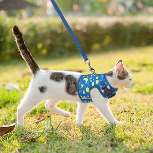 BINGPET Cat Harness and Leash Set, Escape Proof and Adjustable, Large | Step-in Vest, Lightweight Soft Breathable Mesh, Hook & Loop, Easy Control for Medium & Large Cats Walking Travel - color: Galaxy, size: Large