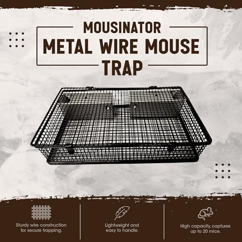 Rugged Ranch Products 2 Pack Mousinator Multi Catch Metal Wire Mouse Trap Cage with 2 Door Entry and Easy to Open Top Lid for Pest Control, Black - color: Mouse, size: 2 Pack