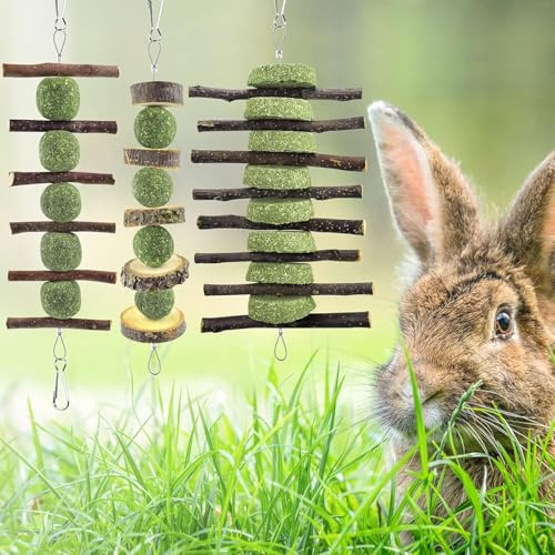 ERKOON Bunny Chew Toys, Rabbit Chew Toys for Teeth Grinding, Improve Dental Health, 100% Natural Apple Wood Timothy Grass Cake Treats for Rabbits Guinea Pigs Chinchillas Bunnies Hamsters (7 Pcs) - style: 7 Pcs