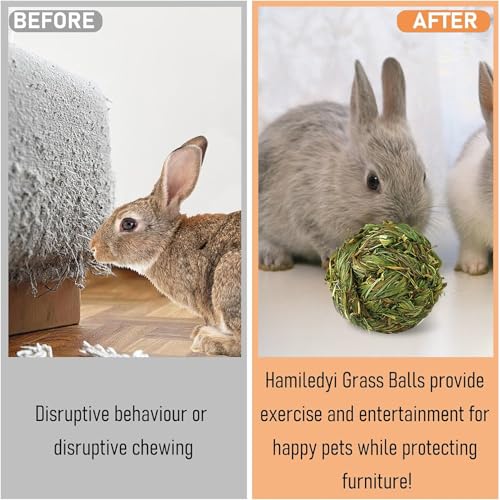 Hamiledyi 12 Pcs Rabbit Chew Ball Timothy Grass Ball Small Animal Activity Play Chew Toys Teeth Grinding for Bunny Rabbits Hamster Guinea Pigs Gerbils Chinchillas - style: Round 12 PCS