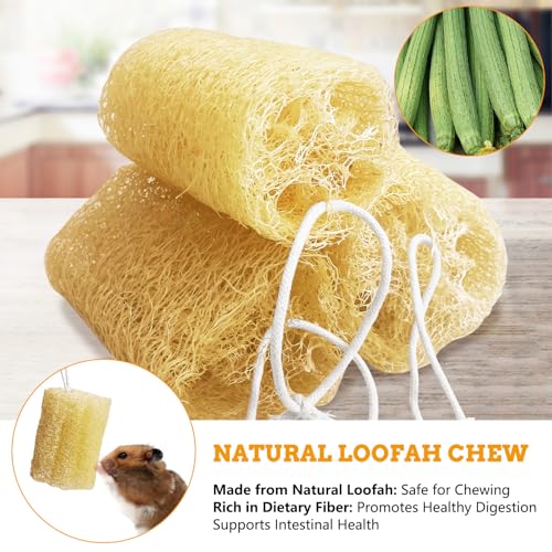12 Pcs Rabbit Chew Toys Natural Bunny Loofah Chew Toy Chinchilla Teeth Grinding Toys Guinea Pig Fibre-Rich Treats Enrichment Bunny Accessories for Rabbits Hamster (M) - color: M- (12 PCS)