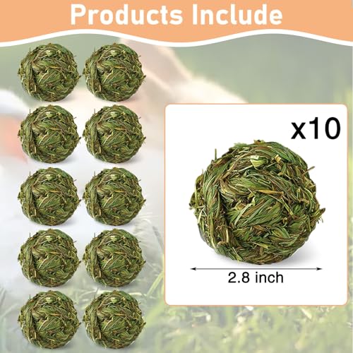 Hamiledyi 10 Pcs Rabbit Chew Ball Timothy Grass Ball Small Animal Activity Play Chew Toys Teeth Grinding for Bunny Rabbits Hamster Guinea Pigs Gerbils Chinchillas - style: Round 10 PCS