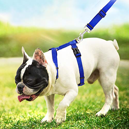 6 Pack Adjustable Cat Leash Harness Leash,Bunny Harness Leash for Pet Safety Walking Running Jogging,HarnessLeash for Bunny cat Puppy Kitten Ferret and Other Small Pet Animals