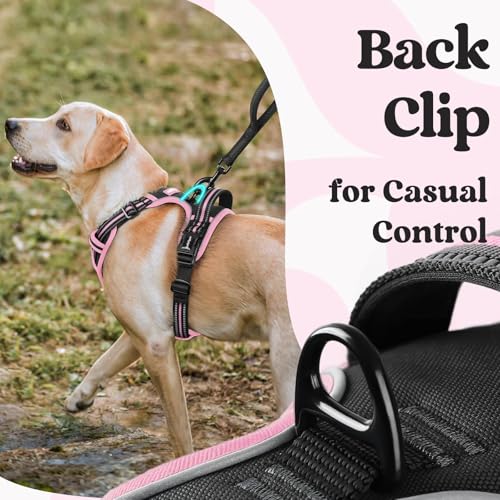 rabbitgoo Dog Harness Small Sized, Updated Easy On & Off with 3 Buckles | No Pull No Choke, Walking with 2 Clips and Handle, Adjustable Soft Reflective, Black & Pink, Small - color: Black & Pink, size: Small