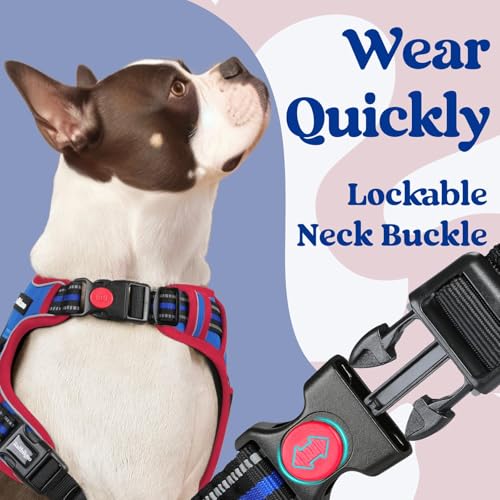 rabbitgoo Dog Harness Small Sized, Updated Easy On & Off with 3 Buckles | No Pull No Choke, Walking with 2 Clips and Handle, Adjustable Soft Reflective, Blue & Red, Small - color: Blue & Red, size: Small