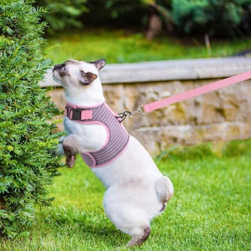 PUPTECK Soft Mesh Cat Vest Harness and Leash Set Puppy Padded Pet Harnesses Escape Proof for Cats Small Dogs Rabbits Bunny - color: Light Pink(Reflective), size: L(NECK 8.5"-10.5", CHEST 12.5"-15", 6-10 lbs)